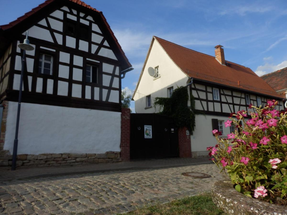 Ferienhof Gruene Kuh Elsteraue Bagian luar foto