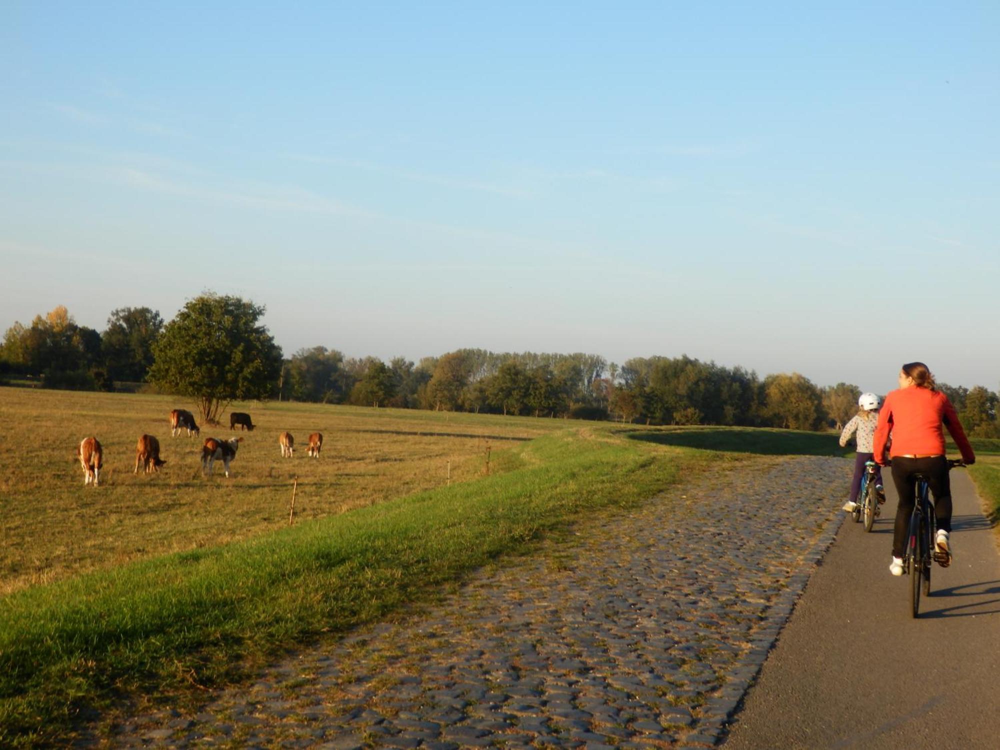 Ferienhof Gruene Kuh Elsteraue Bagian luar foto